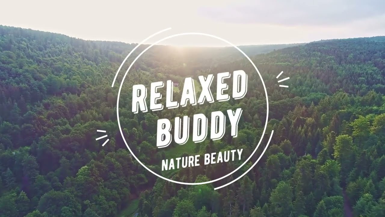 18 Minutes Music for Mind Relaxation 🎵