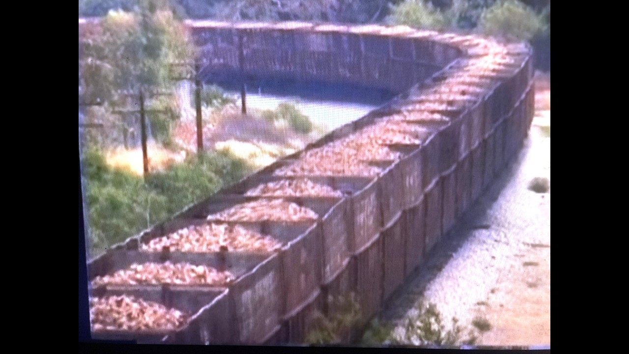 История сахарной свеклы из Южного Тихого океана