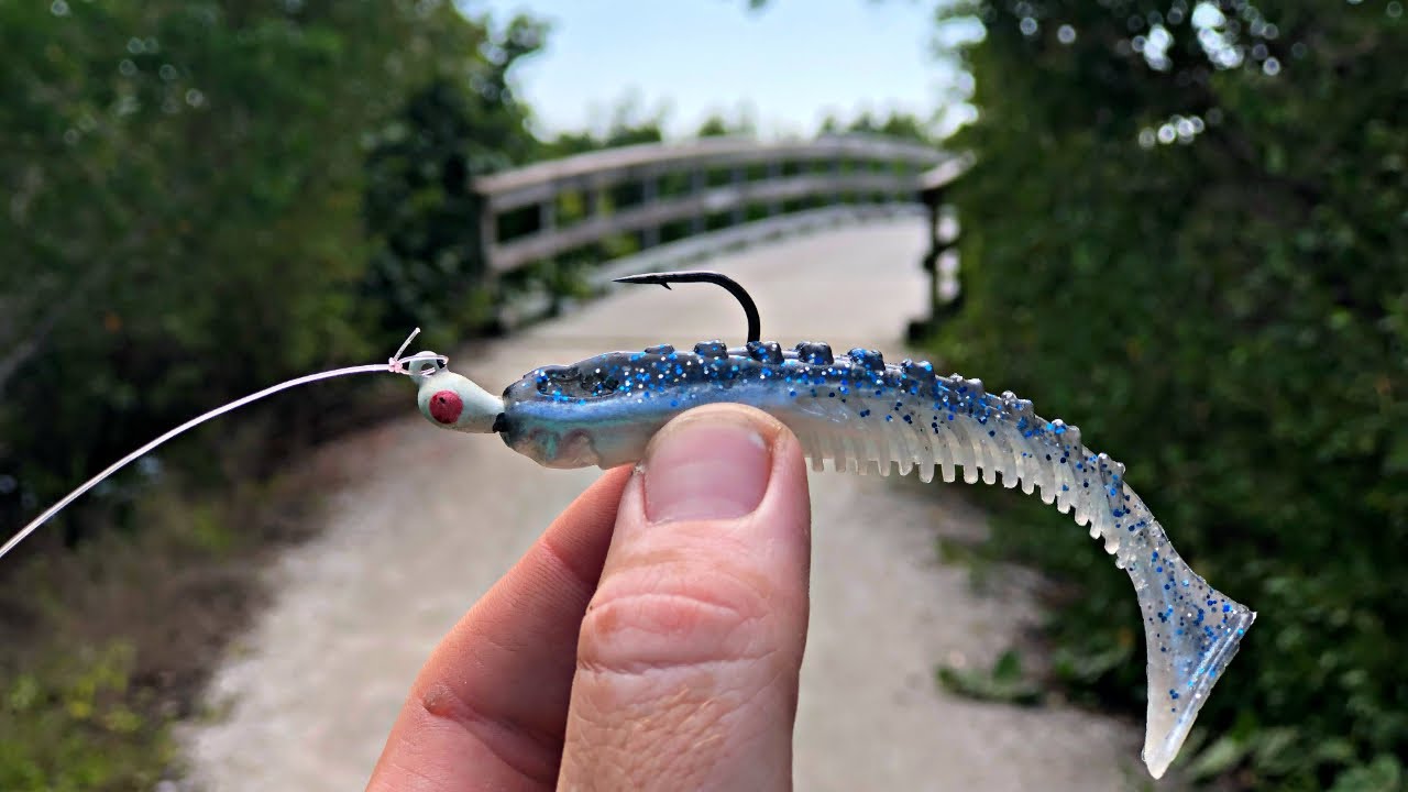 Flounder Fishing Tampa Bay Artificial Lures YouTube