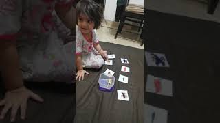 Matching insects with same cards