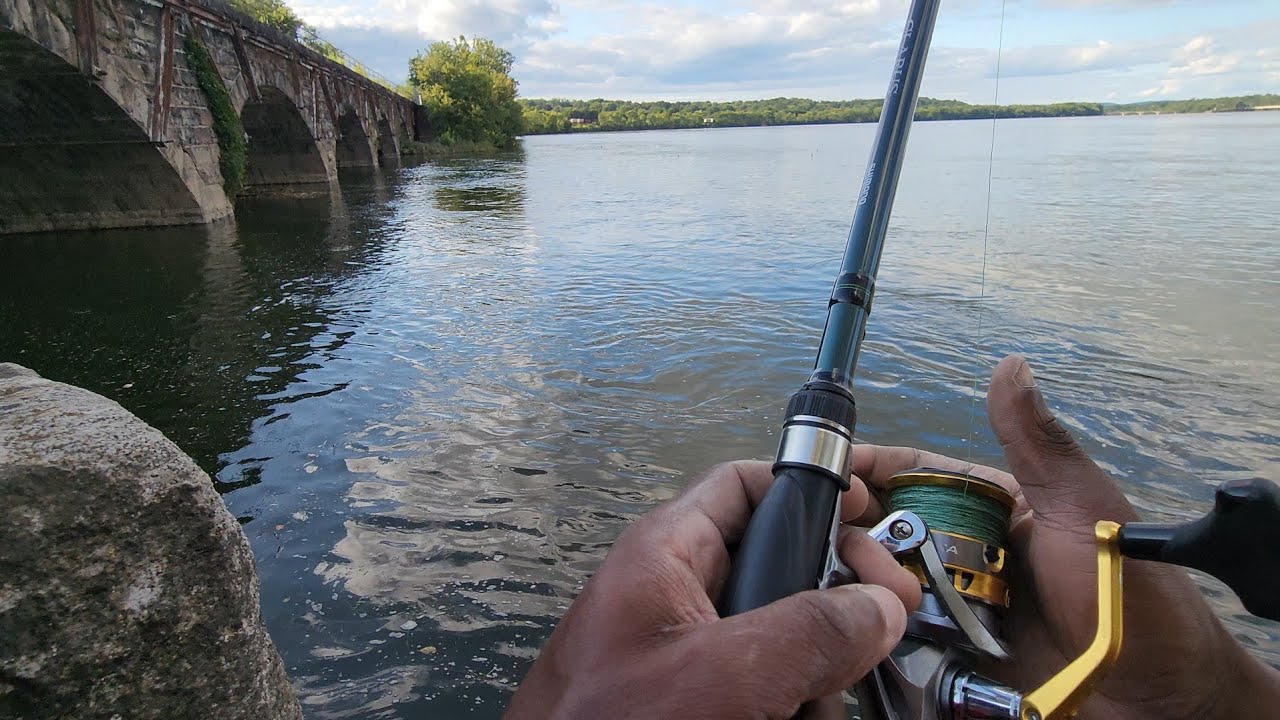 Dropshot fishing for big Susquehanna River Smallmouth 08/20/24.