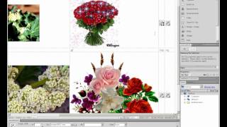 Optimize Images in Dreamweaver CS5
