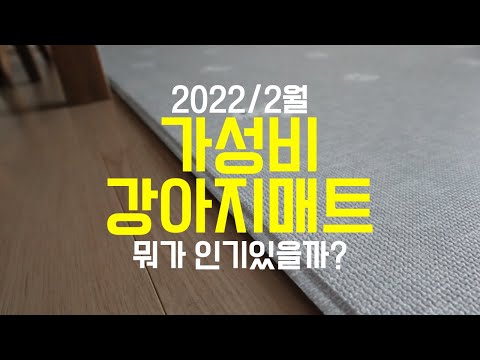후기좋은 가성비 강아지 매트 추천 3가지! 소중한 반려견의 슬개골탈구 예방템!