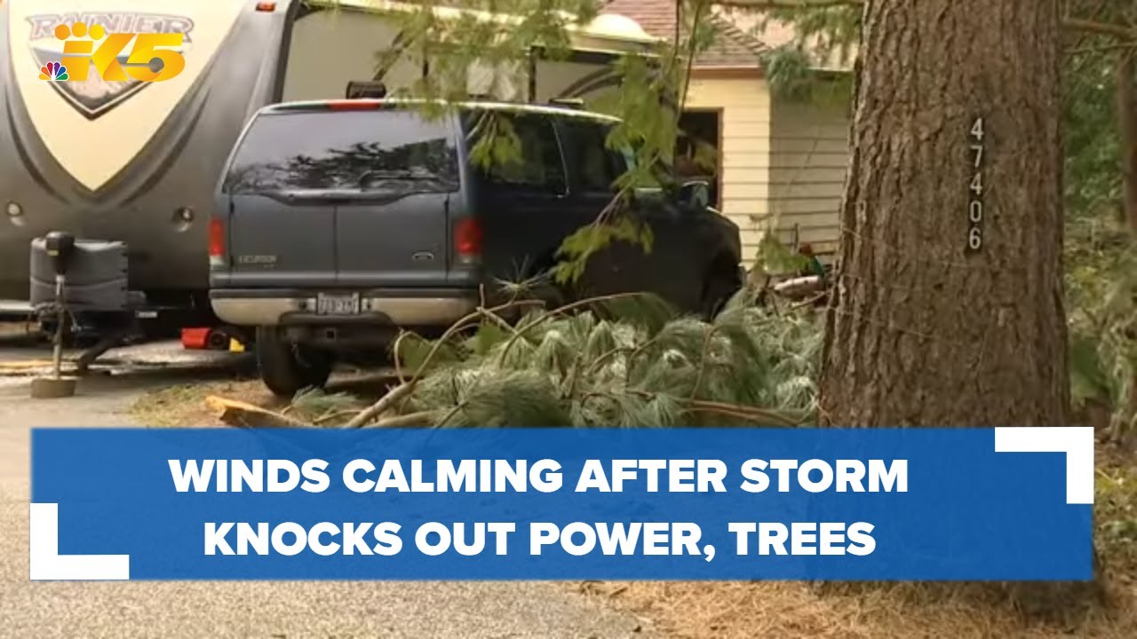 Winds calming after storm knocks out power, downs trees - YouTube