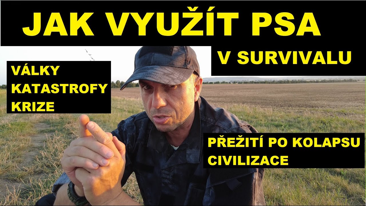 Přežití PSA po Kolapsu Civilizace!