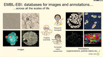 M. Hartley: The BioImage Archive - Open, FAIR, Global Image Data from Molecules to Organisms