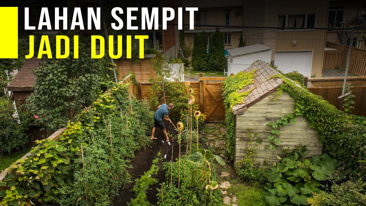 Menghasilkan Uang Dari Lahan Sempit Menghasilkan Uang Dari Lahan Sempit