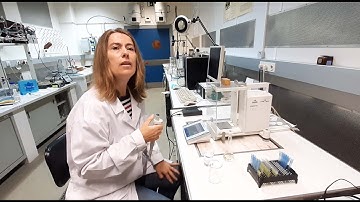 Internal verification of piston pipettes