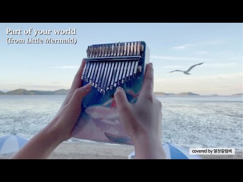 Part of Your World (from The Little Mermaid) - N/A