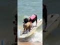 Hang 8 Dog Surfing moves to Daytona Beach