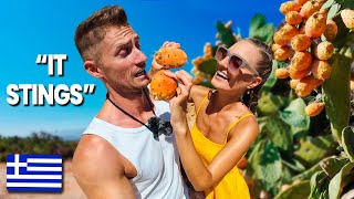 Foreigners Eating CACTUS Fruit for First Time