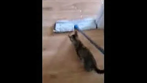 Sweeper Helper