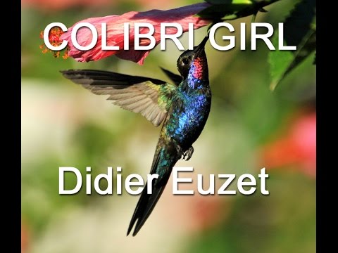 Didier EUZET - COLIBRI GIRL (1200)
