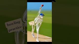 bowling practice cricket match #