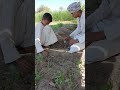  الودعايلعيب سيجا Funny تحشي اكسبلور تحشيش السعوديmedy Memes متابعه Funny علاء المطعني  