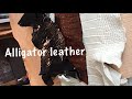 Different types of alligator leather.