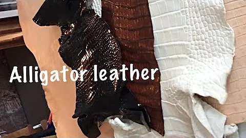 Different types of alligator leather. By Carlo Lorge