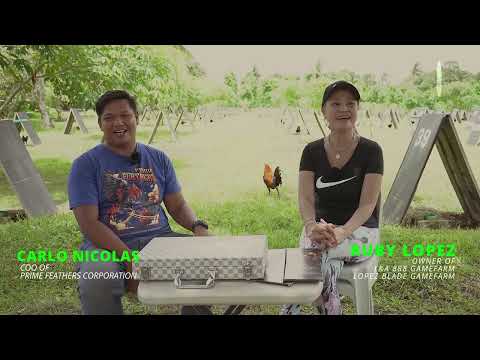 PRIME TV SUNDAY SPECIAL SEPT 25, 2022 - MS RUBY LOPEZ OF L&A 888 GAMEFARM / LOPEZ BLADE GAMEFARM