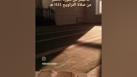 سورة الحشر للقارئ محمد عبدالعزيز الشامي، من صلاة التراويح - رمضان ١٤٤٤ هـ