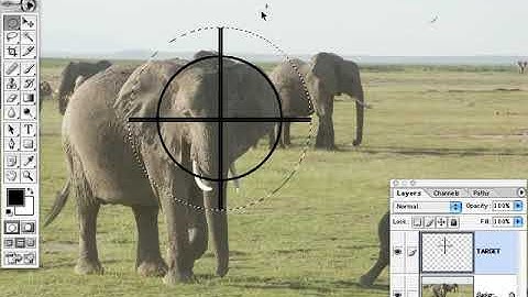 Photoshop 7 Tutorial - Move Tool