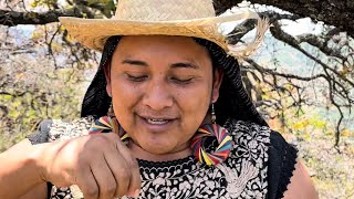 If Macario Had Been Reincarnated In Oaxaca.