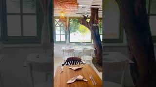 Restaurant La Marsa Casa Lico