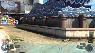Black ops 3: SVG Triple Collateral