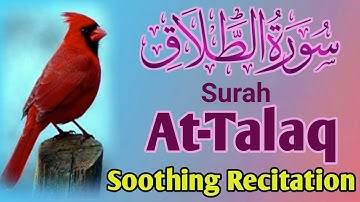 Surah At Talaq(سورة الطلاق) Translation | Soothing Quran Tilawah by Sheikh Ahmad As Shalabi