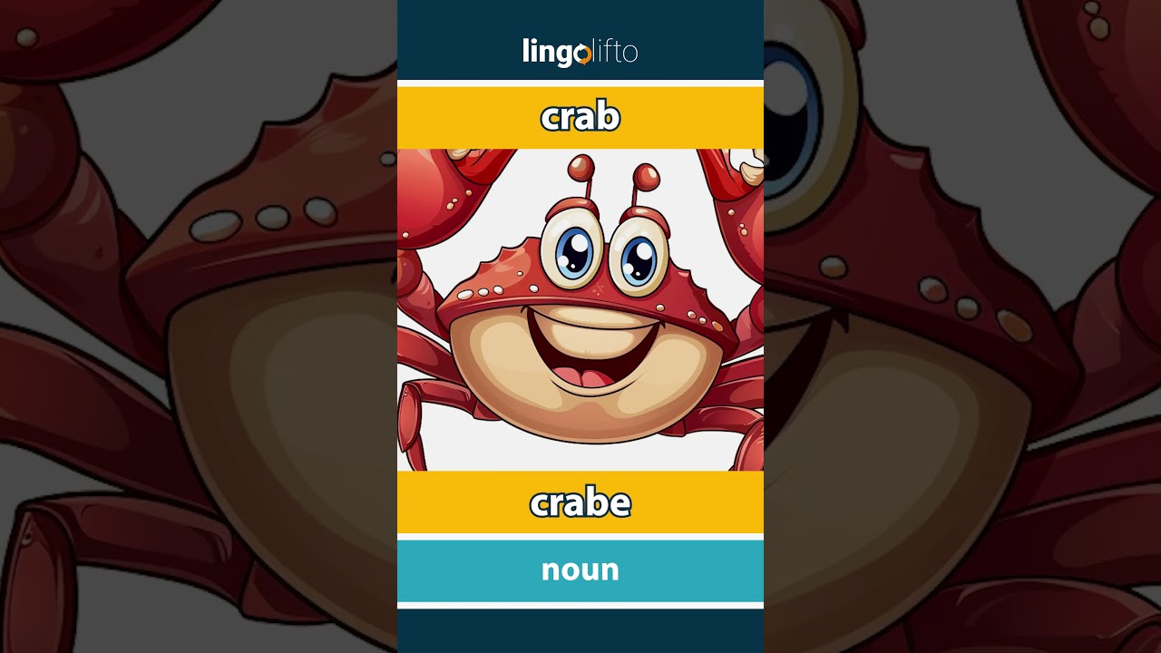 🇬🇧🇫🇷 crab - crabe : vocabulary builder : learn English : apprenons l'anglais