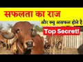 Gir Cow Dairy Success Mantra &amp; Why many Fails -  Top Secrets!