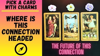 👥️️💞WHERE IS THIS CONNECTION HEADED? THE FUTURE REVEALED❤️‍🔥↗️👥️️|🔮CHARM|TAROT PICK CARD🔮