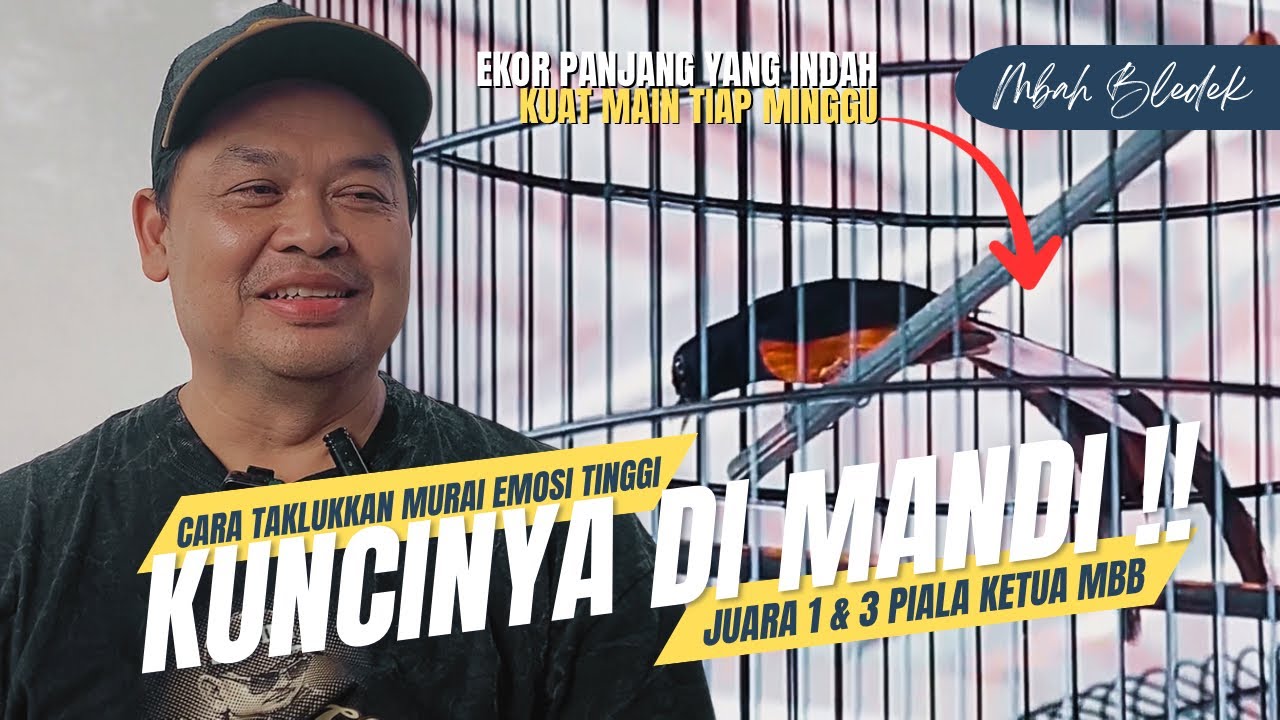 Kuncinya di Mandi Untuk Redam Emosi Tinggi Agar Bisa Juara‼️