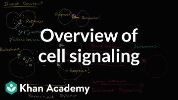 Overview of cell signaling
