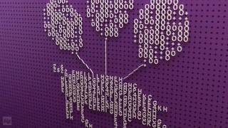 E4 Break Bumper Collection 2013-2018