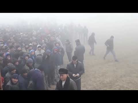 Бузкаши Ш.Истаравшан Чорбог