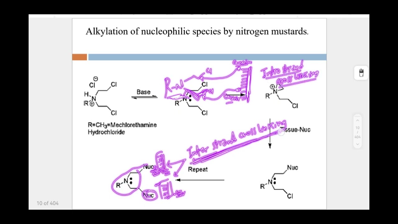 Lecture 1 part 2 organic المرحله الرابعه وزاري