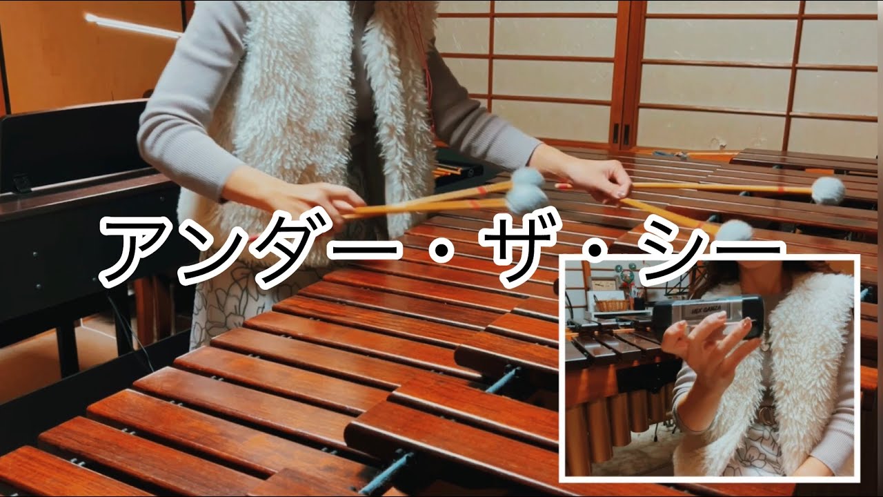 【マリンバで演奏してみた】 アンダー・ザ・シー / ひとりアンサンブル / マリンバ / タンバリン / シェイカー / marimba