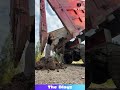 Woman Unloading Sand from Truck | Hard Work &amp; Smart Technique in Action
