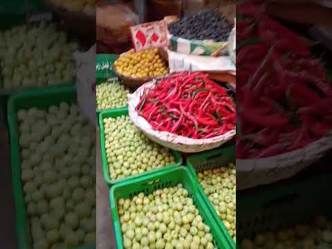 اسعار الزيتون الأخضر شوفوا الفيديو كامل بالاسعار