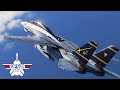 F-14 Tomcat. Energy trap { #jink #bfm #dcs }