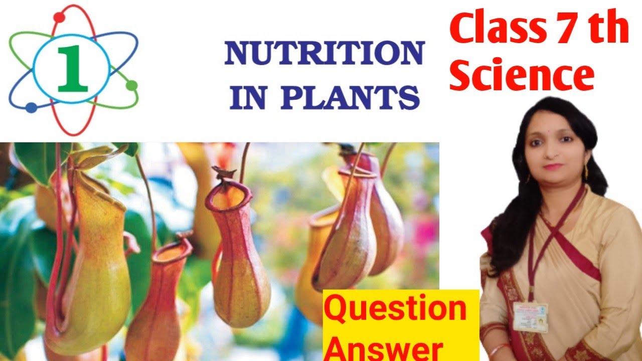 Class 7 th Science Chapter -1 l Nutrition in Plants ll Question answer ...