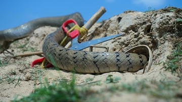 Easy Snake Trap   Creative Method