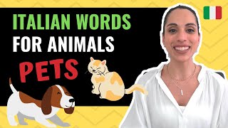Italian words 🐶🐱Animals - PETS