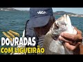 DOURADAS NO RIO COM LINGUEIRÃO COM CASCA - VIDEO PESCA À DOURADA