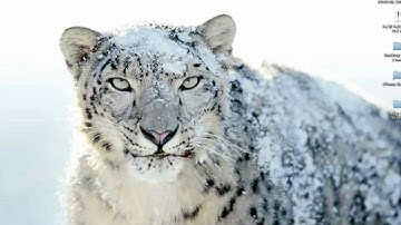 Mac OS X Snow Leopard - Final Release (10A432)