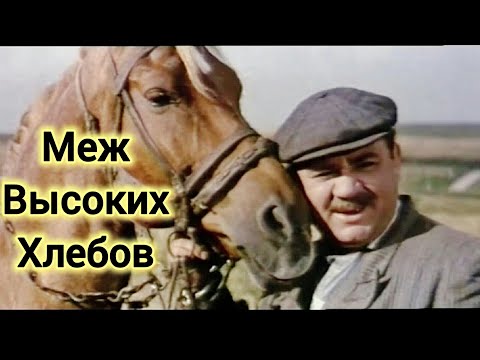МЕЖ ВЫСОКИХ ХЛЕБОВ.1970. Реставрация. Старый советский фильм. Кино СССР. Комедия. Смотреть.