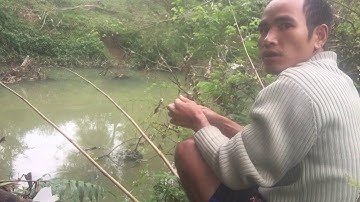 Câu Cá Cần Giờ •|• Cầu Dần Xây 2 •