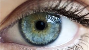 Quiz Yourself on the Cambridge IGCSE Paper 2 (0522 and 0500)