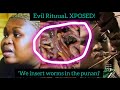 Gogo Maweni inserts worms in a woman vjayjay, a very deadly ritual(Iscitho) Xposed on TV, VIDEO!