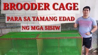 Gumawa Kami Ng Brooder Cage Magkano Ang Nagastos?Backyard Farmingbuhay Probinsya